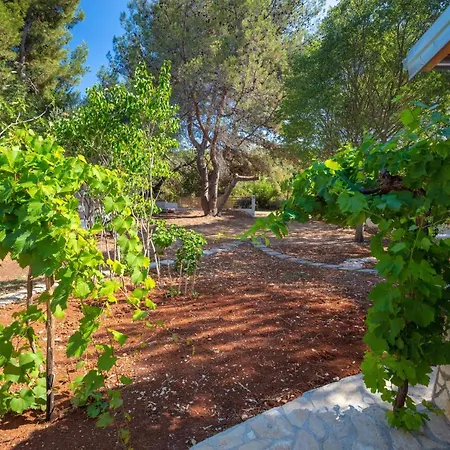 Casa vacanze Al Pino Blue *